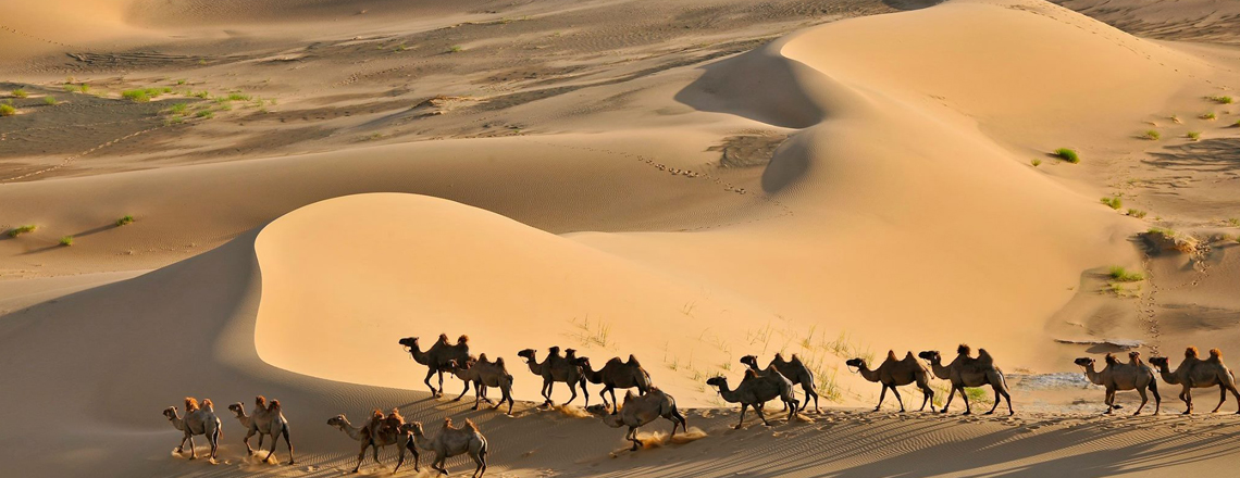 Хонгорын элс